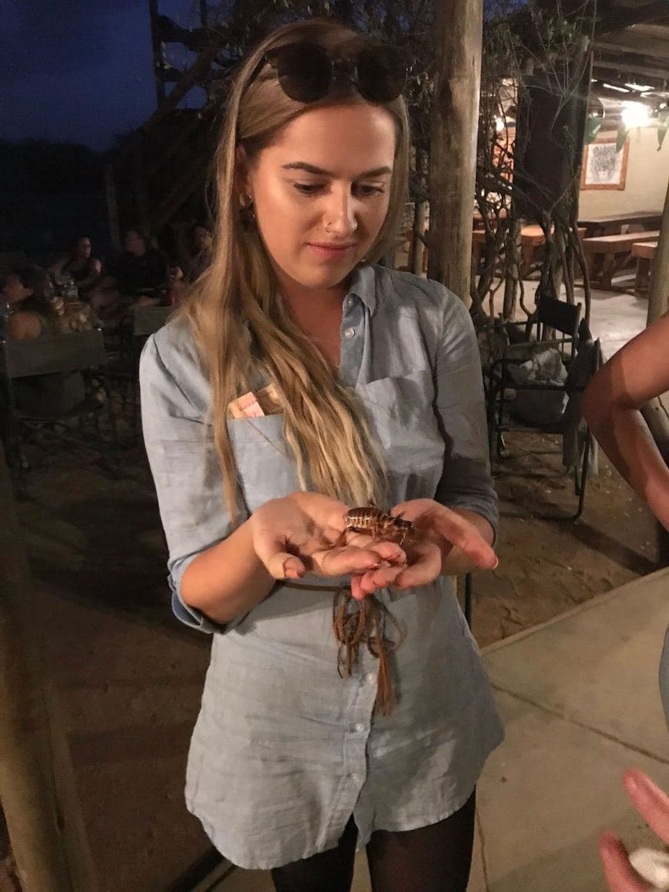 Sophie volunteering with rescued rhinos, baboons, cheetahs and the wider team at the N/a'an ku se Foundation reserve in Namibia, November 2018