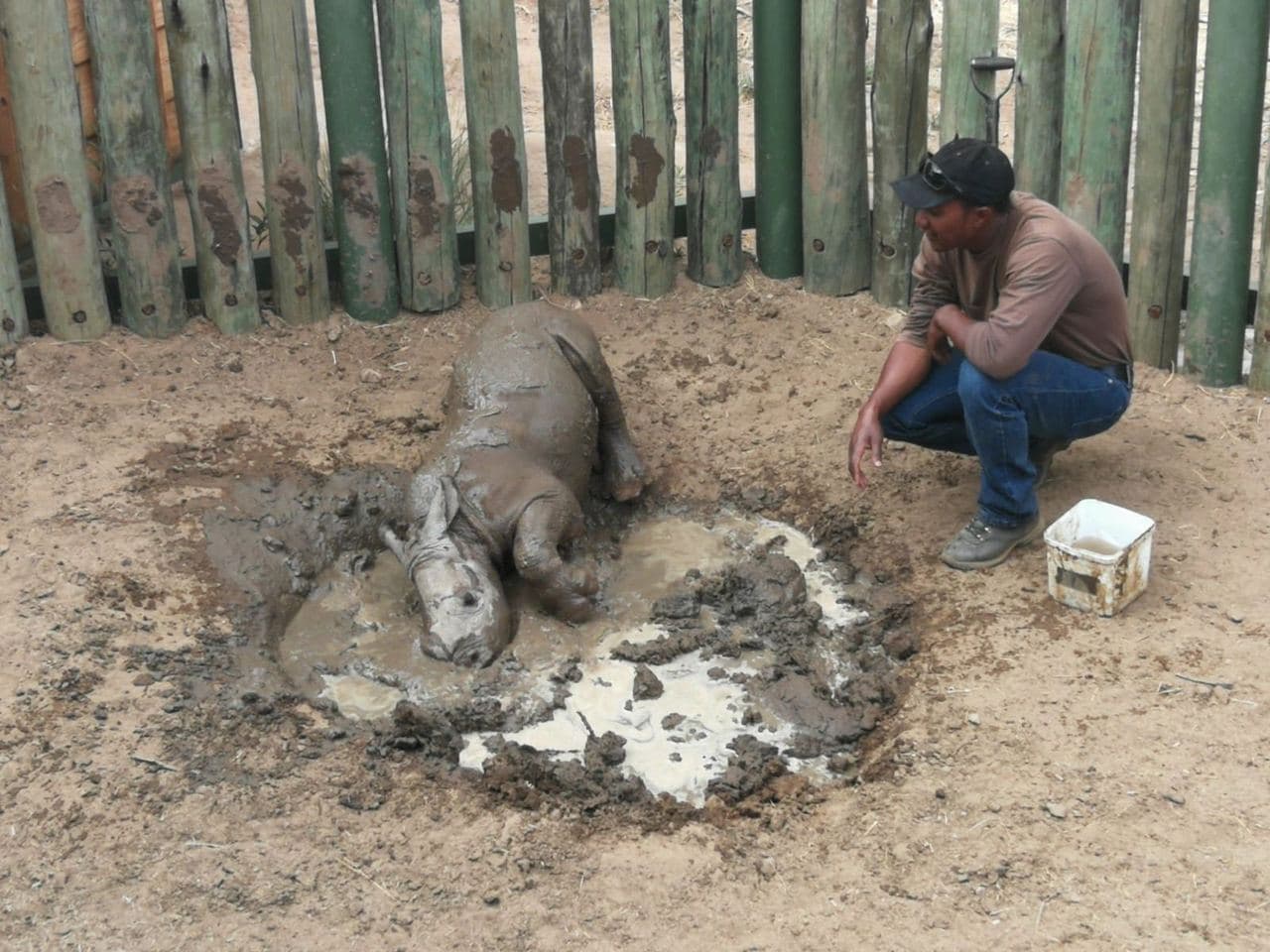 Sophie volunteering with rescued rhinos, baboons, cheetahs and the wider team at the N/a'an ku se Foundation reserve in Namibia, November 2018