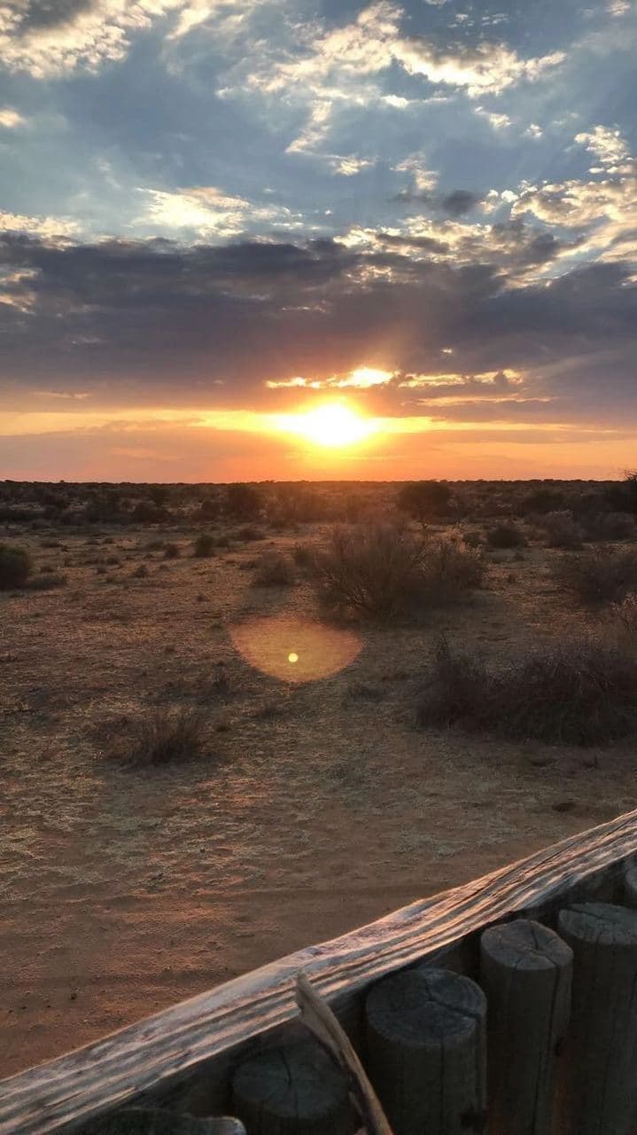 Sophie volunteering with rescued rhinos, baboons, cheetahs and the wider team at the N/a'an ku se Foundation reserve in Namibia, November 2018